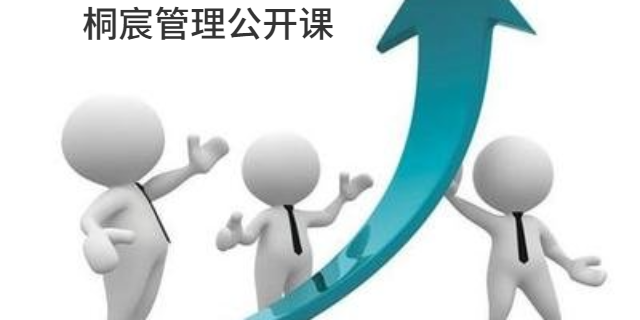 山東桐宸管理咨詢 企業(yè)高效發(fā)展的專業(yè)伙伴