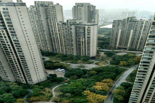 上海灘大寧城 公寓住宅 優點 不足,上海灘大寧城 公寓住宅 怎么樣,上海灘大寧城 公寓住宅 周邊房產中介經紀人評價