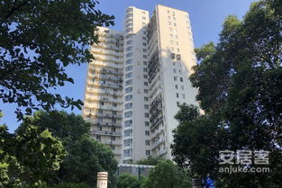 香山麗舍 公寓 優點 不足,香山麗舍 公寓 怎么樣,香山麗舍 公寓 周邊房產中介經紀人評價