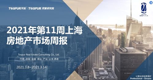 同策房產(chǎn)咨詢(xún)股份 深耕上海房地產(chǎn)經(jīng)紀(jì)市場(chǎng)的專(zhuān)業(yè)力量